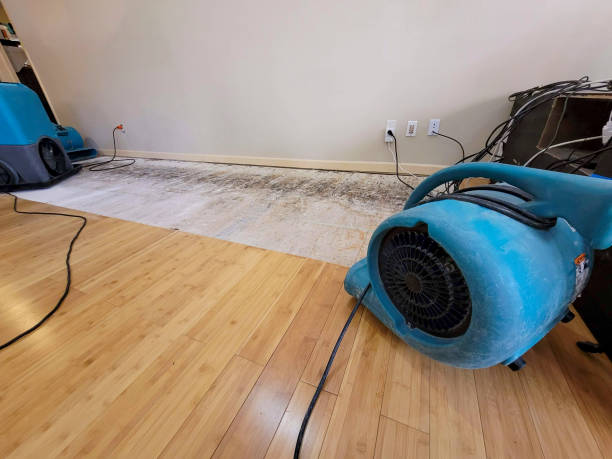 Professional Burst Pipe Water Damage technician working in Glen Echo, MD